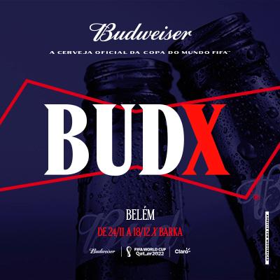 Imagem do evento Pacote Budx