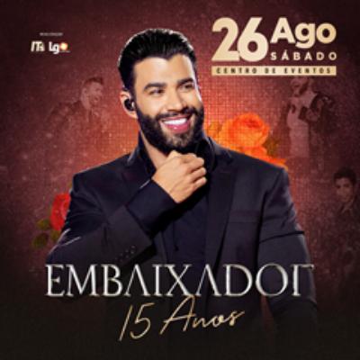 Imagem do evento Embaixador 15 Anos Em Ponta Grossa