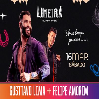 Imagem do evento Limeira Rodeio Show