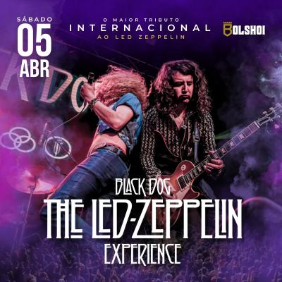 The Led Zeppelin Experience - Banda Black Dog em Goiânia