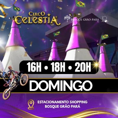 Imagem do evento 08.06 | Circo Celestia
