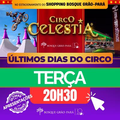 Imagem do evento 01.07 | Circo Celestia