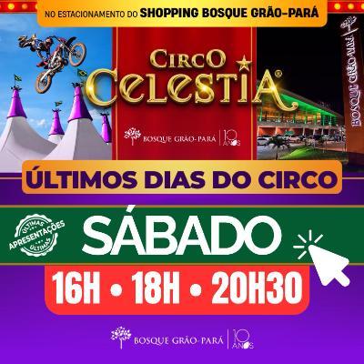 Imagem do evento 19.07 | Circo Celestia