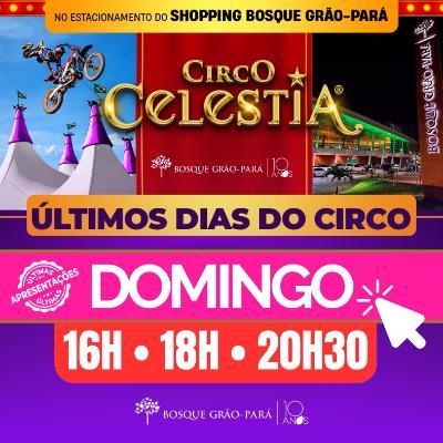 Imagem do evento 03.08 | Circo Celestia