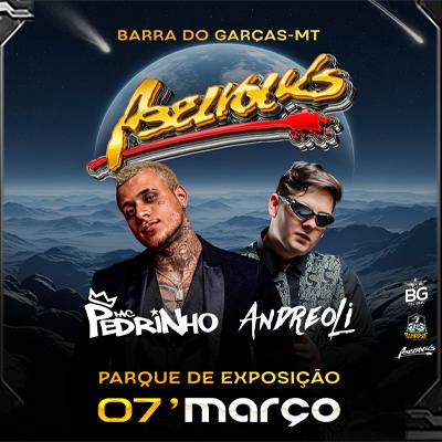 Imagem do evento Abelvolks